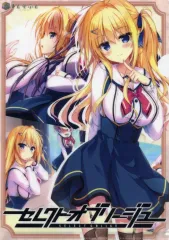 きゃらスリーブコレクション セレクトオブリージュ4種まとめ売り きゃらスリーブコレクション マットシリーズ セレクトオブ
