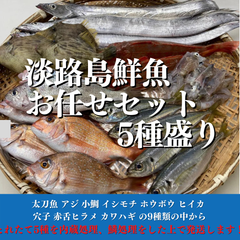 淡路島昼網鮮魚5種セット