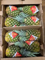 パイナップル　12kg 8個入り　Pineapple
