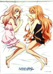 【非売品】エスカ&ロジーのアトリエ 黄昏の空の錬金術士 B2 サイズ ポスター エスカ&ロジーのアトリエ〜黄昏の空の錬金術士〜 プレミアム