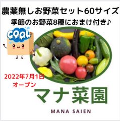 農薬、化学肥料不使用。お野菜詰め合わせ60サイズ♪冷蔵便❄️九州、近畿、四国の方