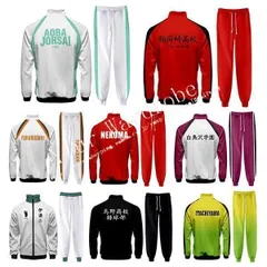 新品 ハイキュー!! 風 井闥山梟谷稲荷崎音駒白鳥沢伊達工業学院高校コスプレ衣装バレーボール部ジャージ上下セット仮装日常服