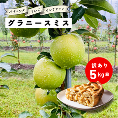 発送中「グラニースミス5キロ箱訳あり品」農林水産大臣賞 エコファーマー 5kg