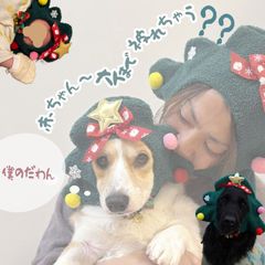 【S/M】犬 帽子 猫 ペット服 サンタ コーギー クリスマス 帽子 クリスマスウェア コスチューム 大型犬 フラットコーテッドレトリバー ゴールデンレトリバー ダックス トイプードル チワワ 赤ちゃん 小型犬 中型犬 柴犬