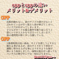 ペッピーキッズ カード収納袋 ピクチャーカード ペッピーキッズクラブ リフィル