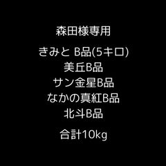 青森県産 ＂ ミックス＂ りんご【ご家庭用B品10kg】【送料無料】【産地直送】リンゴ 林檎