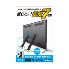 エレコム TV用耐震ベルト／～40V用／ネジどめタイプ（VESA穴）／2本入 TS-005N