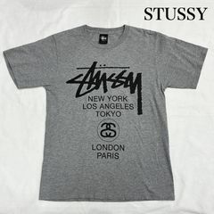 STUSSY ステューシー Tシャツ 半袖 ワールドツアー ロゴ 両面 プリント 半袖Tシャツ クルーネック グレー