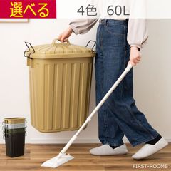 ゴミ箱 ふた付き 60L 日本製 完成品  ブラック    グレー  グリーンベージュ W36×D55.4×H62.2cm  完成品 ポリエチレン