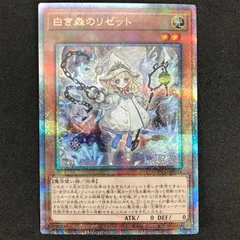 2025年最新】白き森のリゼット シークレットの人気アイテム