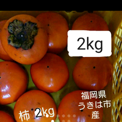 柿(富有柿)   約2kg 福岡県うきは産 出品は、本日12／5まで