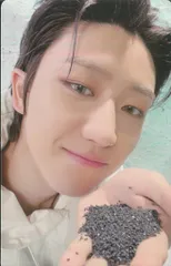 SEVENTEEN Weverse盤 THE8 SECTOR17