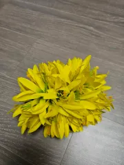 2025年最新】フラダンスcdの人気アイテム - メルカリ