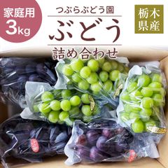 ぶどう 【つぶらぶどう園】 家庭用 詰合せ ぶどう色々 品種お任せ 3kg 栃木県栃木市