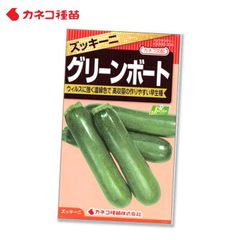 ズッキーニ 種 栽培しやすい うどんこ病気 ウイルスに強い 高収量 たくさん獲れる 早生種 グリーンボート 濃緑色 野菜の種 カネコ種苗
