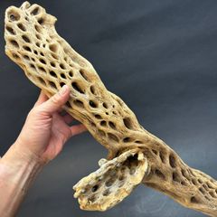 みわちゃん　カクタス　スケルトン　パーチ　細めNo.118特大No.208 極太長め-3: (約)長さ85cm×最大幅22cm×最大φ13cm重量(約)2.2kg