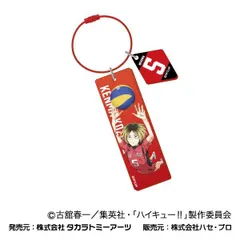 【新品・公式】劇場版ハイキュー!! ゴミ捨て場の決戦 ワイヤープレートキーホルダー 04 孤爪研磨 公式グッズ colleize