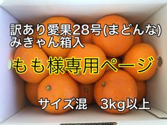 愛果28号(まどんな)