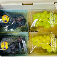 大人気！岡山県産 ぶどう彩り詰め合わせセット！ - メルカリ