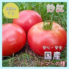 【国内育成・採取】 妙紅 家庭菜園 種 タネ トマト 野菜