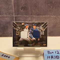 入手困難】 スポーツ新聞 日刊スポーツ ステイゴールド 香港ヴァーズ