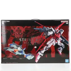 2025年最新】1/60 PG MBF-02 ストライクルージュ