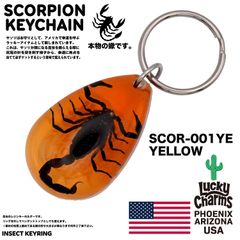 USA ARIZONA SCORPION DROP KEYCHAIN 蠍 サソリ スコーピオン お守り キーホルダー バイカー 幸運 : SCOR-001YE