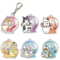 【中古】キーホルダー 全6種セット 「mofusand×サンリオキャラクターズ アクリルプレートキーホルダー ～フラワードーム～」