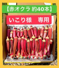 いこり様　専用ページ