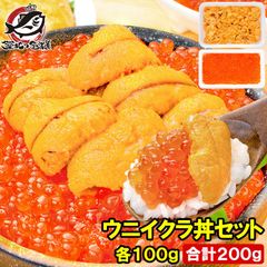 豊洲市場のウニイクラ丼セット 2杯分 無添加生ウニ100g＆いくら醤油漬け100g 海鮮丼で約2杯分 うに ウニ いくら イクラ うにいくら丼