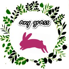 any grassオリジナルチモシー super premium 10kg 圧縮 無選別 - メルカリ
