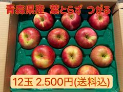 【訳あり】青森県産☆葉とらず つがる☆りんご大玉