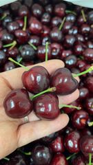 クール便発送‼️たっぷり3kg  チェリー　アメリカンチェリー　チェリー　さくらんぼ　贈り物　中元　母の日　父の日