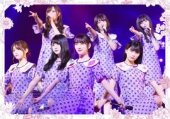 2026年最新】乃木坂46 7th year birthday live blu-rayの人気アイテム 