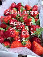 【初売り】 2025年最新】もういっこ いちごの人気アイテム - メルカリ 果物