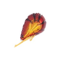 Item thumbnail for item f86227e2-d304-48d6-9720-2628de98851c