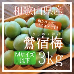 梅 鶯宿梅 おうしゅく Mサイズ以下 3㎏ 和歌山