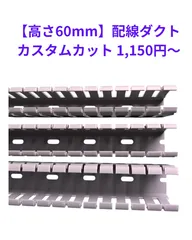 (24cmまで)配線ダクト　カスタムカット(高さ60mm/スリット有/カッチングダクト)