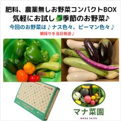 マナ菜園🥗農薬、化学肥料不使用。 ピーマン色々ナス色々。 コンパクトBOX発送♪