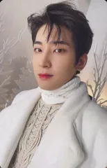 【中古】コレクションカード(男性) SEVENTEEN/WONWOO(ウォヌ)/CD「JAPAN SPECIAL SINGLE『あいのちから』」(通常盤)封入特典フォトカード