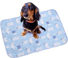 Item thumbnail for item 3f01a4cf-957b-4da6-8ac0-c6bc90613fbb