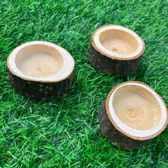 ＊新品＊　切り株　多肉植物　多肉ポット　エアプランツホルダー　プランター　ミニチュア　ガーデニング用品　寄せ植え　植物　Sサイズ  E651