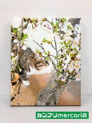 猫の写真をキャンバス生地にプリント＃F３号(273×220mm)＃にゃんプリ