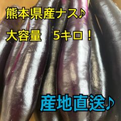 産地直送♪　熊本県産　ナス　5キロ