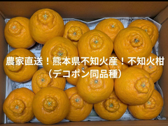 福袋安いいね半額ストア 熊本県不知火産！まごころ☆不知火農園☆ メルカリShops - 果物