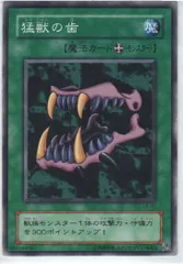 【世界に2枚】遊戯王　猛獣の歯　初期　ブースター1   PSA10 世界に2枚】遊戯王猛獣の歯初期ブースター1 PSA10