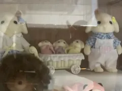 Sylvanian Families(シルバニアファミリー) フローラウサギ 家族 セット 開梱
