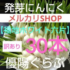 優陽くらぶ - メルカリShops