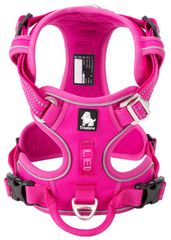 Item thumbnail for item ad8ffa9b-7424-47e2-8d04-ccbb3e1e2f2e