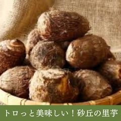 【山形県産】乾燥どんこ椎茸 1kg｜無農薬・天日干し・だしや煮物に最適！ kokudonko200.jpg